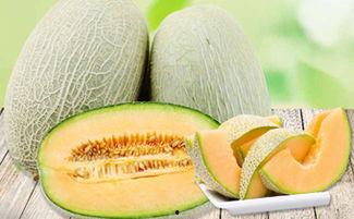 吃哈密瓜菠萝蜜嗓子会哑,甜蜜诱惑背后的嗓子哑痛真相