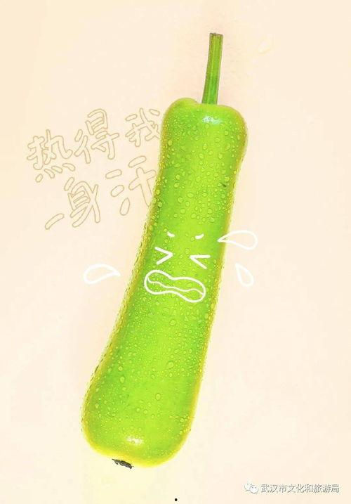 暴力式吃瓜,暴力式吃瓜背后的真相与内幕