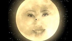 默默吃瓜qq,揭秘网络社交背后的秘密