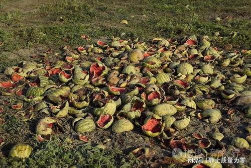 吃瓜那些小事,揭秘娱乐圈那些小事