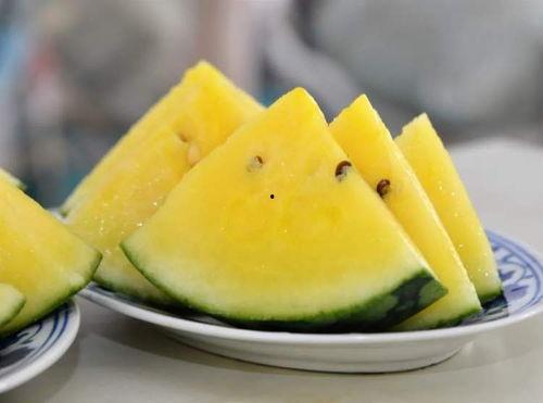 金山瓜怎么吃,解锁美味新体验