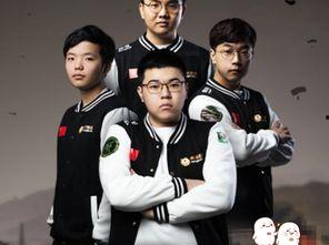 悦悦战队吃瓜,一场欢乐的美食盛宴