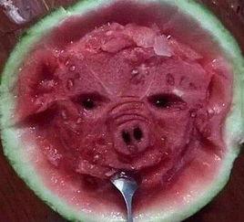 什么瓜不敢吃啦