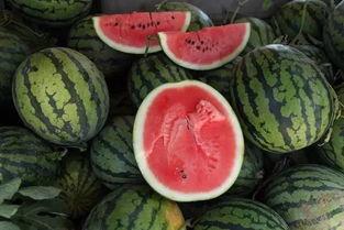 吃瓜群众惨被抢瓜,吃瓜群众惨遭抢瓜事件始末