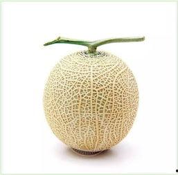 幼崽吃瓜头像,萌态十足，揭秘瓜界萌宝成长记