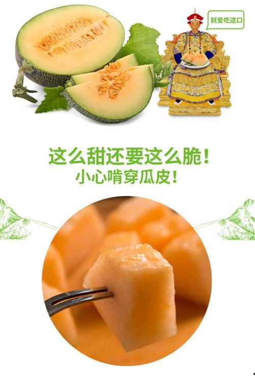 吃瓜乐乐桶推荐,热门美食大盘点