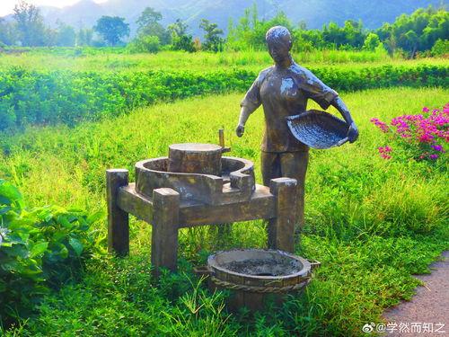 农耕文明吃瓜,瓜类作物在农耕文明中的角色与影响