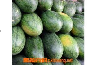 如何吃美人瓜好吃视频,视频教你轻松解锁瓜香四溢的味蕾之旅